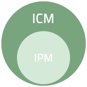 IPM ICM